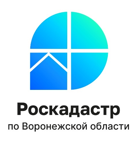 Роскадастр ответил на популярные вопросы воронежцев о выписках из ЕГРН.