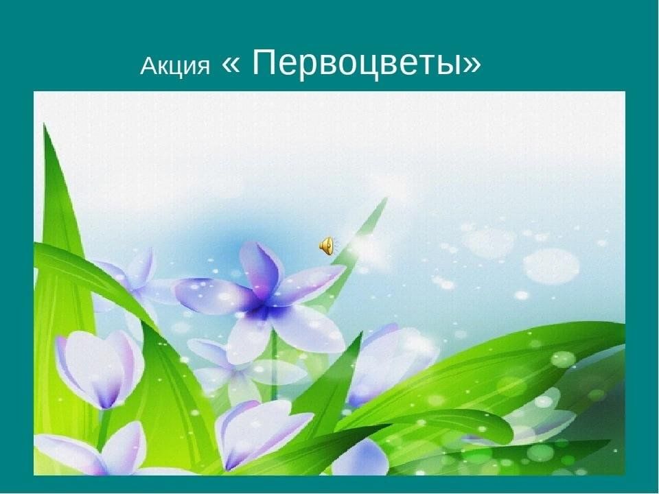 Всероссийская акция &quot;ПЕРВОЦВЕТ&quot;.